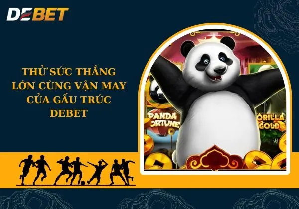 vận may của gấu trúc debet